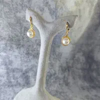 گوشواره استیل رنگ ثابت و ضد حساسیت|بدلیجات|کرمان, |دیوار