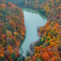 خانه سنتی طرح چوب|اجارهٔ کوتاهمدت آپارتمان و سوئیت|کیاسر, |دیوار