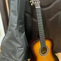 گیتار دیاموند نونو