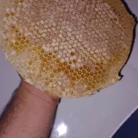 عسل طبیعی کردستان اورامان تخت|خوردنی و آشامیدنی|تهران, قیطریه|دیوار