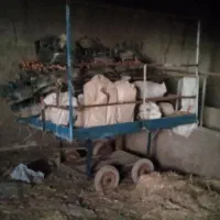 چار چرخ.یا تافی