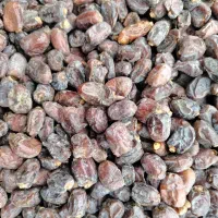 خرما درجه ۲، قیمت بسیار عالی...