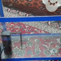 آکواریوم کوچک خانگی