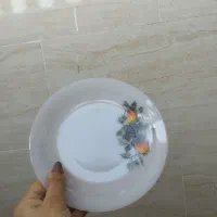 پیش دستی گل میوه|ظروف سرو و پذیرایی|مشهد, محمدآباد|دیوار