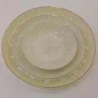 ظروف آرکوپال طرح چینی