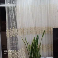 پرده|پرده، رانر، رومیزی|سهند, |دیوار