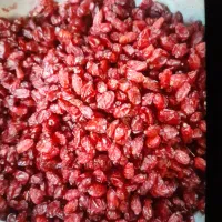 زرشک پفکی و زیر تالاری موجود است|عمدهفروشی|قائن, |دیوار