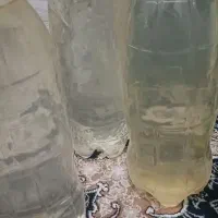 عرق نعنا|خوردنی و آشامیدنی|هشتگرد, شهرک پارسیان|دیوار