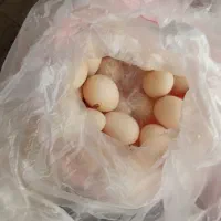 تخم مرغ محلی