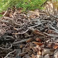 فروش هیزم درجه یک