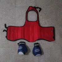 هوگو و دستکش ووشو.