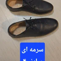 کفش مردانه|کیف، کفش، کمربند|شیراز, ارم|دیوار