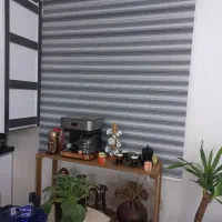 ۳عدد پرده زبرا