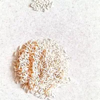 برنج هاشمی درجه یک