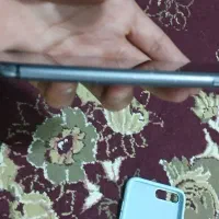 ایفون 8plas|موبایل|ساری, |دیوار