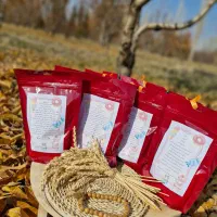 پودر کیک خانگی آماده بوتیک کیک یگانه