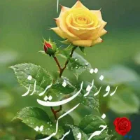 دنبال کاردرمنزل