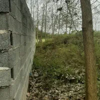 فروش زمین|فروش زمین و ملک کلنگی|خمام, |دیوار