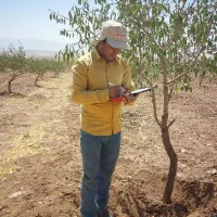 بازدید تخصصی باغات توسط گیاه پزشک