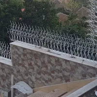 حفاظ شاخ گوزنی|خدمات پیشه و مهارت|اردبیل, |دیوار