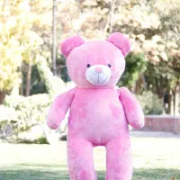 خرس|اسباب‌بازی بچه|سقز, |دیوار