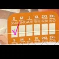 لبلس زیر قیمت فانتزی