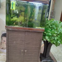 آکواریوم 60در50 با کمد زیراکواریوم همراه با وسیله