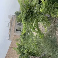 فروش خانه ویلایی ۱۲ متری ۱ خوابه در قطب راوندی|فروش خانه و ویلا|کاشان, قطب راوندی|دیوار