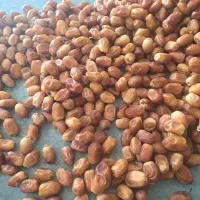 خرمای زاهدی سوپر لوکس