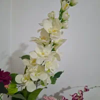 گل کنار سالنی|گل مصنوعی|ارومیه, |دیوار