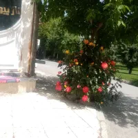 آرایشگاه زنانه با سرویس بهداشتی اندیشه