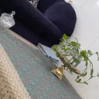 مبل هفت نفره|مبلمان خانگی و میز عسلی|قم, حکمت شمالی|دیوار
