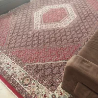 فرش 12متری فرهی عالی درحد|فرش|ساری, |دیوار