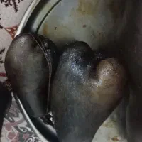 هیزه نو|ظروف نگهدارنده، پلاستیکی، یکبارمصرف|نورآباد, |دیوار