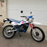 دی تی 125 سند دار