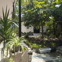 ویلا باغ جنگلی/چهار خواب/دربست|اجارهٔ کوتاه‌مدت ویلا و باغ|نوشهر, |دیوار