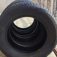 لاستیک 14 در حد