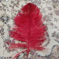 پر علامت