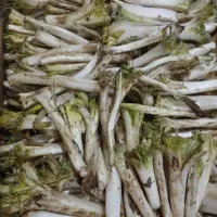 کنگر خمین پاک شده