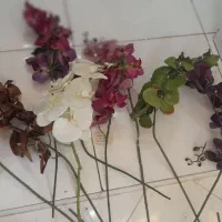 گل ارکیده لمسی کاملا نو استفاده نشده