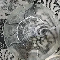 میوه خوری  گل یخی|ظروف سرو و پذیرایی|تهران, هاشم‌آباد|دیوار