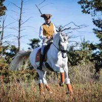 اسب نریان ومایان