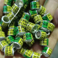 حلقه پای کفتر یا پلاکی