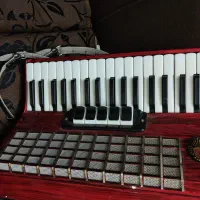 آکاردیون۸۰باس