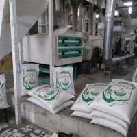 کامفیروزی و عنبربوی شوشتر ، تازه تازه