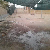 اجاره زمین چهاردیواری گلخانه انبار|اجارهٔ دفتر صنعتی، کشاورزی، تجاری|خاوران, |دیوار