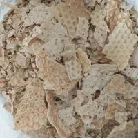 نون‌خشک