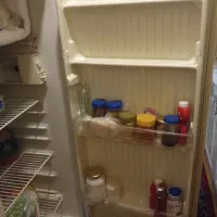 یخچال سالم مناسب باغ