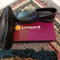 کفش leopard