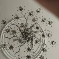 لوستر درحدنو قیمت مناسب